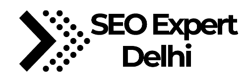 Delhi-SEO-Expert-logo.png